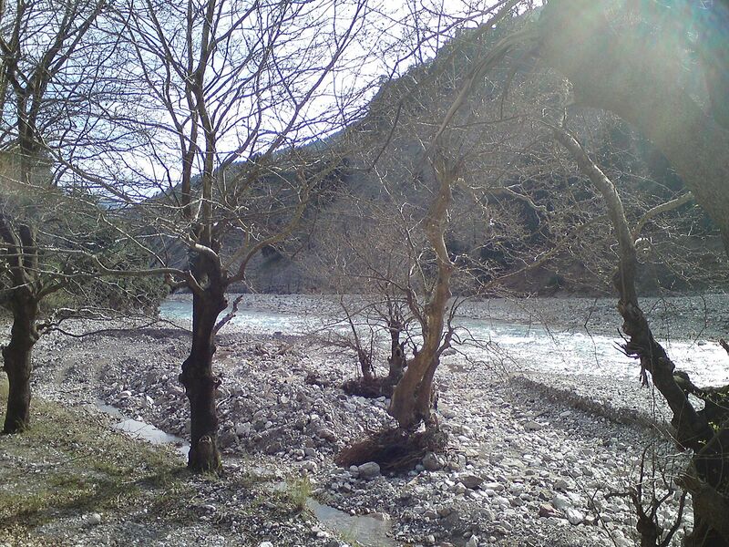 Agrafa
