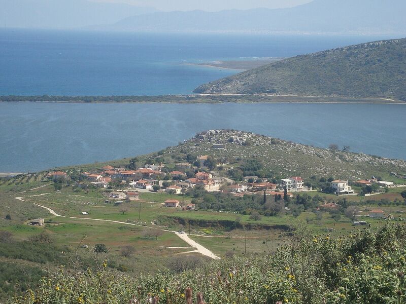 Kalogria